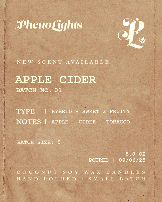 Apple Cider | Coconut Wax Candle